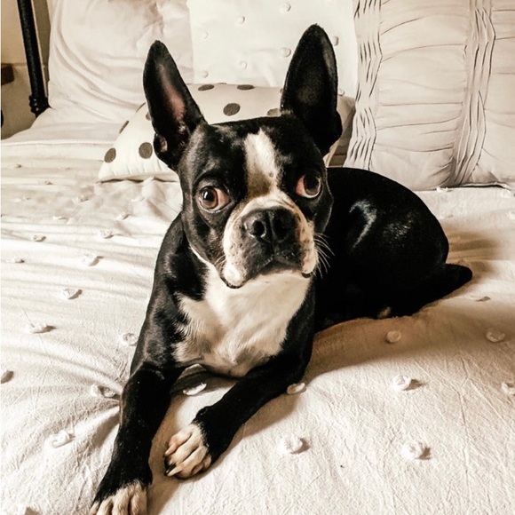 ♡ lindsey ♡ - Picture 7 of 16